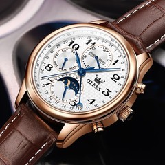 OLEVS 6667 Stylish Multi-functiom Water Resistant Casual Formal Mechanical Watch