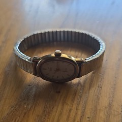 Timex Women’s Quartz Oval Gold Tone Expansion Bracelet Watch White Dial