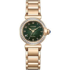 Citizen EM1123-62X New Ladies’ Eco-Drive Watch Silver Dial Stainless Steel