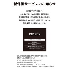 New Citizen CA4660-61A PROMASTER 20 SKY Mens Watch Water Resistant Silver Japan