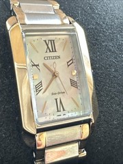 Citizen Women’s Bianca Eco-Drive Silver Pink Watch 32MM EW5624-54Y
