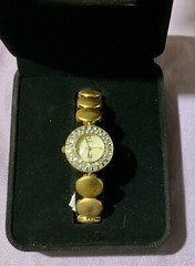 Elizabeth Taylor White Diamonds Watch New in Box – Untested