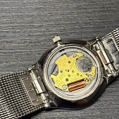 Skagen Denmark Steel Ladies Watch 233XSSTM 24mm Miyota Co 5Y20 Movement