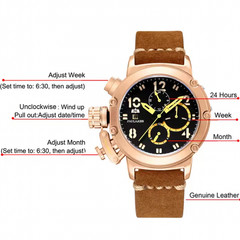 PAULAREIS Automatic Mens Watch Self Wind Mechanical Watches Leather Strap Watch