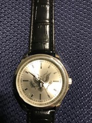 Men’s Watch, Silver Eagle Presidential Silver Tone with New Strap and Battery