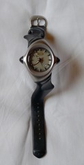 Oakley Crush 1.0 Watch