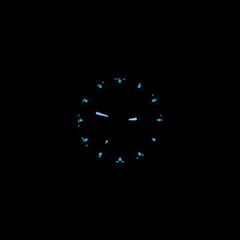 Bertucci A-2sel Super Illuminated – Ghost Gray El Dial- 354 Vintage Drab Nylon