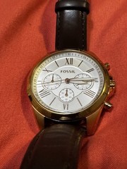 Fossil Watch