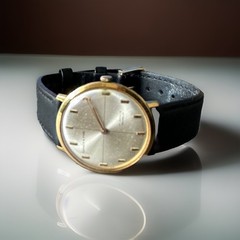 Vintage Rare Turner & Finn 17Jewels Incabloc Crosshair Dial VGC Swiss Mens Watch
