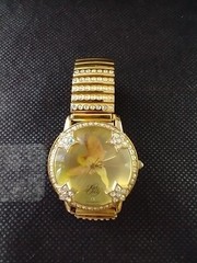 Kirks Folly Aurora Borealis Crystal Stainless Steel Stretch Ladies Watch Quartz
