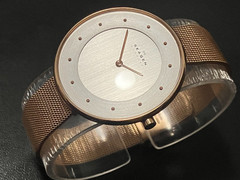 Skagen SKW2142 Women’s Gitte Watch Quartz Mineral Crystal