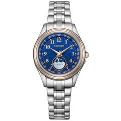 CITIZEN EXCEED EE1016-66L DENPA Limited YOZORA COLLECTION Titanium 29.2mm Watch