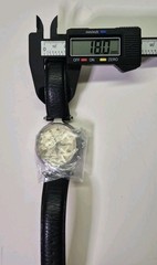 Men’s Stauer Automatic Day/Date/12 – 24 Hour/Day/Night Indicator Gold Tone Watch