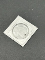 OMEGA 1375 part # 9102 detent (Y2)