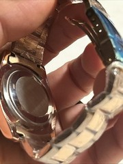 Paulareis Luxury Automatic Watch Men’s Stainless Steel Waterproof Diver Luminous