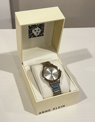 Anne Klein Women’s Two-Tone Quartz Watch Sunburst Silver Dial Bracelet w/Box