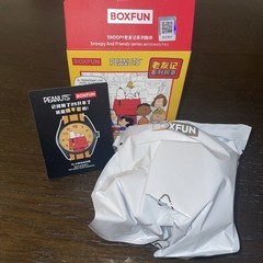 BOXFUN Even Puppies Can Suffer #01 Peanuts Snoopy And Friends Blind Box Watch