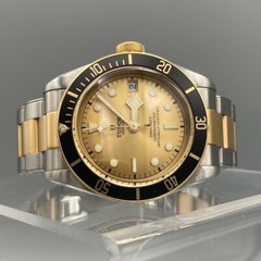Tudor Black Bay S&G 79733N