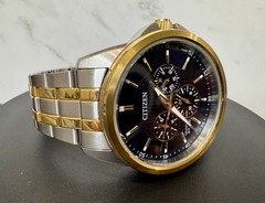 Citizen 6329-S127173 Two-Tone Blue Dial Quartz Multifunction Men’s Watch WR100
