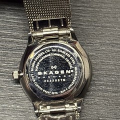 Skagen Denmark Steel Ladies Watch 233XSSTM 24mm Miyota Co 5Y20 Movement