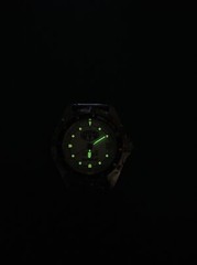 ANIMAL WS001 DIVERS WATCH