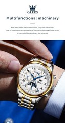 OLEVS 6667 Stylish Multi-functiom Water Resistant Casual Formal Mechanical Watch