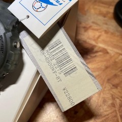 G SHOCK DW 6900WF France World Cup Gray Skeleton