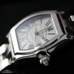 Cartier Roadster Stainless Steel Automatic Watch – Water Resistant 100m 330ft