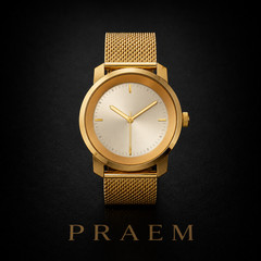 PRAEM Gold Plated Minimalist Silver Dial Milanese Mesh Band Quartz Watch