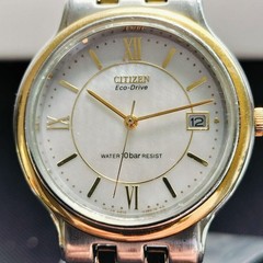 [In Operation] Citizen Eco-Drive Date Combination Men’s Watch E110-H22749