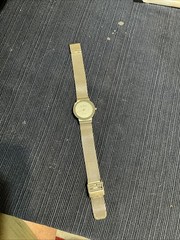 Skagen S Steel Women’s Watch