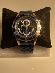 REWARD VIP Men’s Watch RD81135M