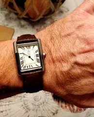 Pierre Lucerne 1888 Vintage Style Swiss Inspired Mens Tank Dress Watch Brw Strap