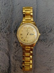 TISSELLY T808 Men’s Round Waterproof Watch Glitter Diamond Face Gold Tone w/BATT