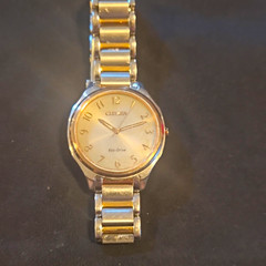 Citizen Eco-Drive Women’s Silver Tone 25mm Bracelet Watch, Arabic Dial 30m