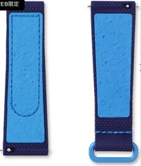 Price reduced: MoonSwatch + original strap