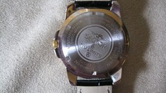 sector 550 Swiss made mens watch