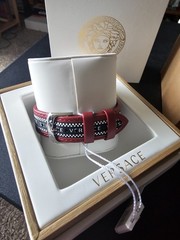 Mens Versace Watch model VE5A01421