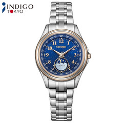CITIZEN EXCEED EE1016-66L DENPA Limited YOZORA COLLECTION Titanium 29.2mm Watch