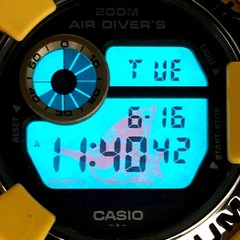 G SHOCK G SHOCK DW 8200AC 9T FROGMAN AMERICA S CUP Yellow Released January 1999