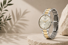 Titan Edge Gleam Two Tone Gold Silver Mens Watch Champagne Textured Dial New