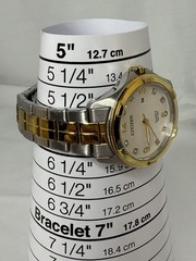 Citizen Women’s Quartz Two Tone Watch White Dial Diamond Hour Markers Date WR 50