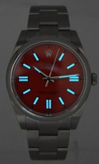 Rolex Oyster Perpetual 41 Steel Coral Red Dial Mens Watch Box/Papers ’21 124300