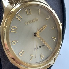 Citizen Weekender Eco-Drive Women’s Gold Stainless Steel Watch 35MM EM0752-54P
