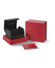Ferragamo Mens Stainless Steel 40mm Bracelet Fashion Watch