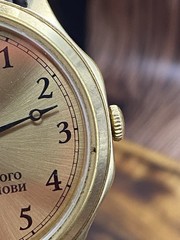 Men’s mechanical watch from the mayor of Kiev Reward watches of Ukraine #9446
