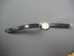 5 Wristwatches – Pulsar, Roumers, Xavie, Elgin & Remington (No Band) – 6 180