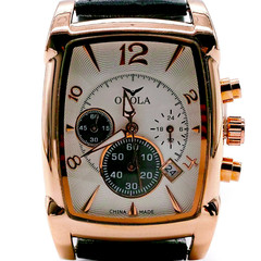 Watch CHRONOLOGIST Gold, White, Black. USA Shipping NEW STYLE Great Retro Look