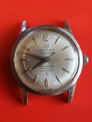 Vintage Ginsbo Incabloc Seaguard Watch* Swiss Made* 21 Jewels* Runs Well!