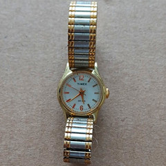 Timex Cavatina Women’s Two-Tone Stainless Steel Quartz Watch Bracelet 30m